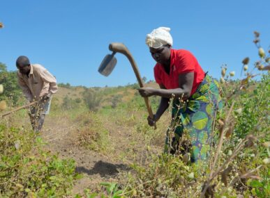 Farming, women and the climate crisis